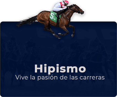 img slot